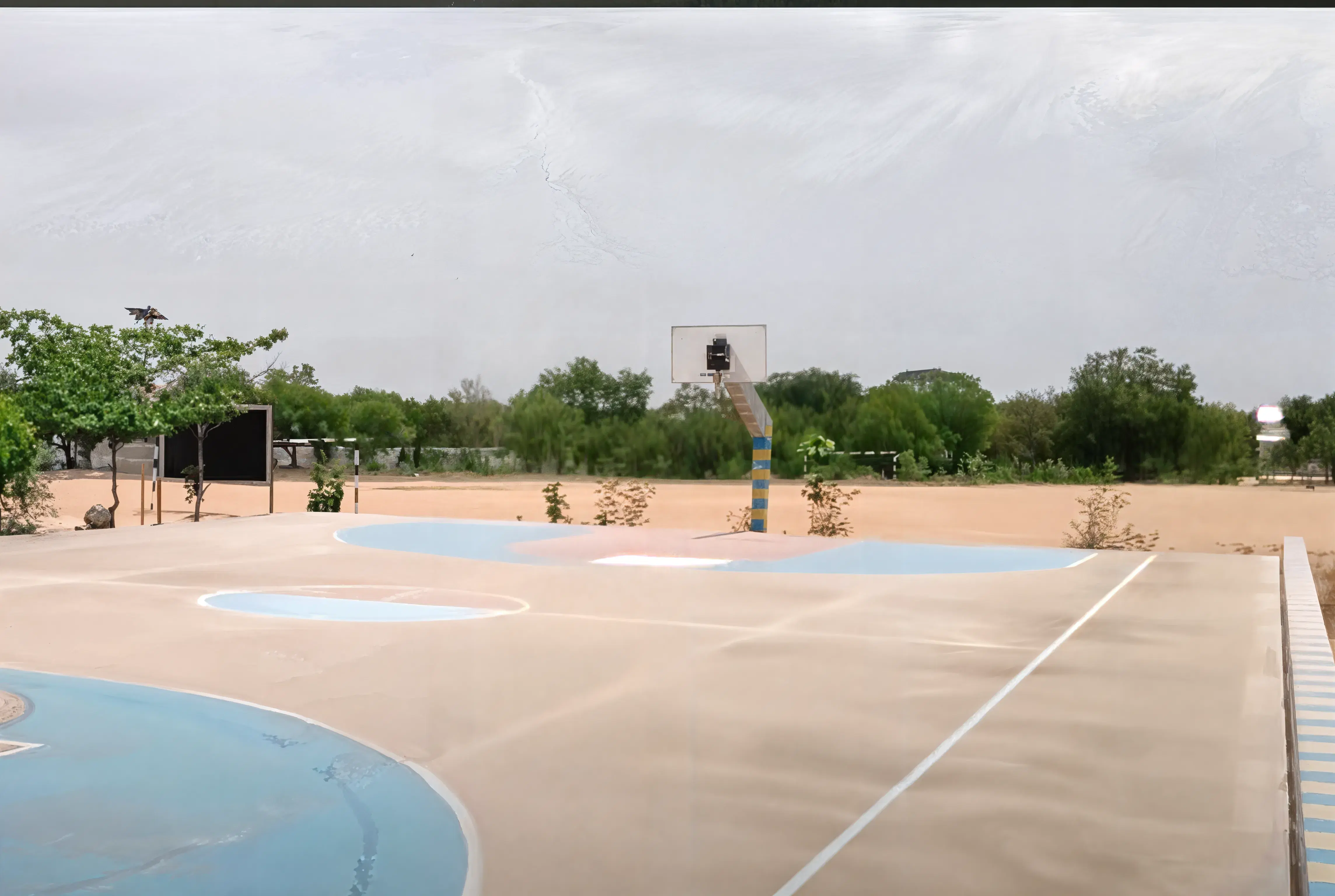 MGIT Hyderabad Sports Facilities photo 3